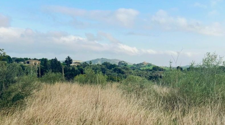 Balearic Islands - San Lorenzo del Cardessar - 7108m2