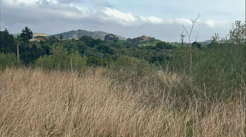 Balearic Islands - San Lorenzo del Cardessar - 7108m2