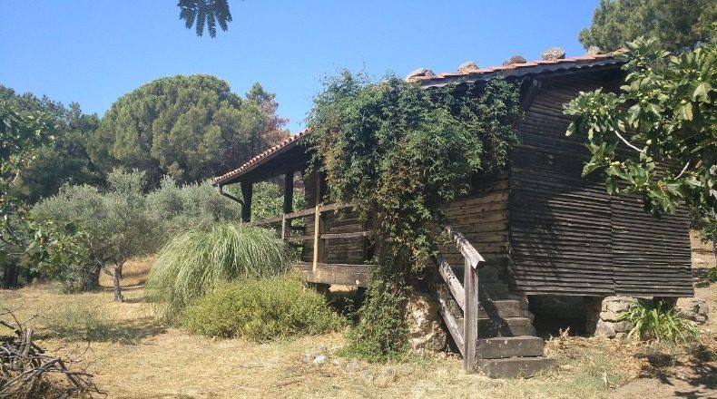 Avila - Candeleda - 30000m2