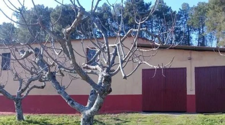 Avila - Candeleda - 30000m2