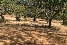 Candeleda 30000&nbsp;m² 