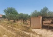 Земля на продажу у города Каудете Фото