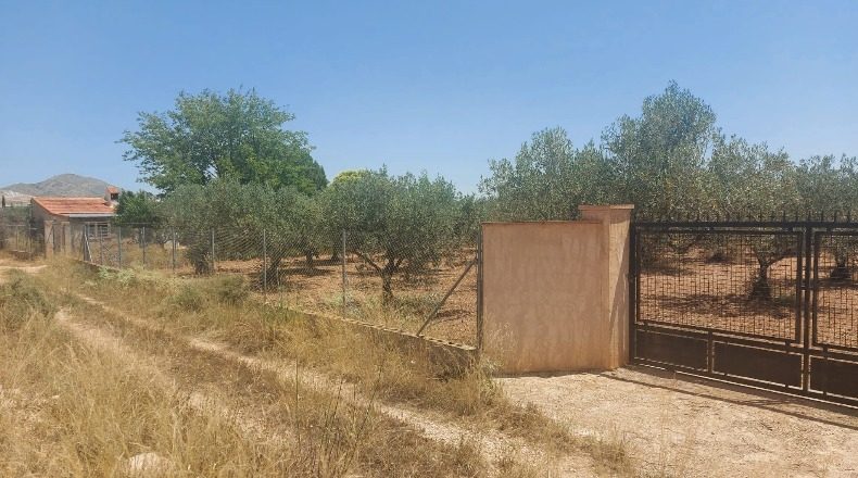 Albacete - Caudete - 1976m2