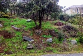 El Tiemblo 3000&nbsp;m² 