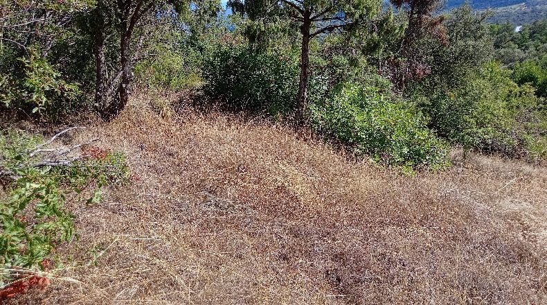 Ávila - El Tiemblo - 3000m2