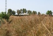 Rural estate for sale on Pago de Majadales, Chipiona, ref: TR263153 photo