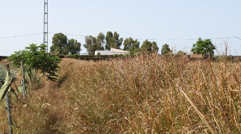 Cádiz - Chipiona - 8100m2