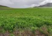 Non-developable land for sale on Poligono 3, Villaviudas, ref: TR264273 photo