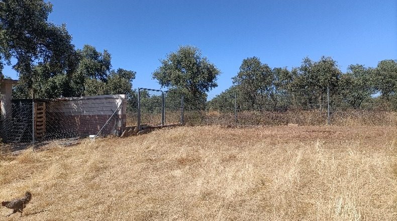 Badajoz - Badajoz - 2500m2
