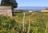 Land suitable for development for sale on PO-552, A Guarda, ref: TR264361 photo