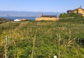 Land suitable for development for sale on PO-552, A Guarda, ref: TR264361 photo