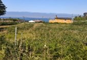 Land suitable for development for sale on PO-552, A Guarda, ref: TR264361 photo