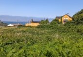 Land suitable for development for sale on PO-552, A Guarda, ref: TR264361 photo