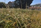 Land suitable for development for sale on PO-552, A Guarda, ref: TR264361 photo