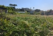 Land suitable for development for sale on PO-552, A Guarda, ref: TR264361 photo