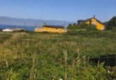 Land suitable for development for sale on PO-552, A Guarda, ref: TR264361 photo