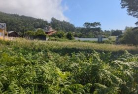 A Guarda 2708&nbsp;m²