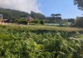 Land suitable for development for sale on PO-552, A Guarda, ref: TR264361 photo