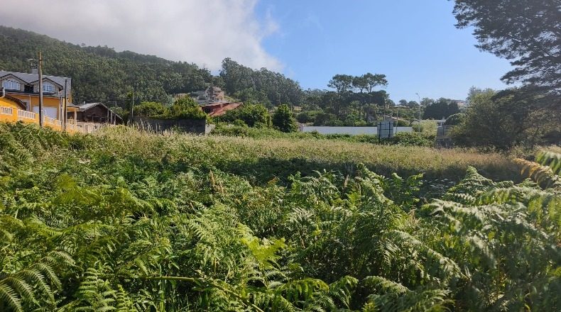 Pontevedra - La Guardia - 2708m2