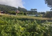 Land suitable for development for sale on PO-552, A Guarda, ref: TR264361 photo