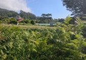 Land suitable for development for sale on PO-552, A Guarda, ref: TR264361 photo