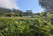 Land suitable for development for sale on PO-552, A Guarda, ref: TR264361 photo