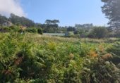 Land suitable for development for sale on PO-552, A Guarda, ref: TR264361 photo