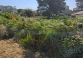 Land suitable for development for sale on PO-552, A Guarda, ref: TR264361 photo