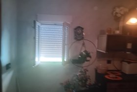Foto 20