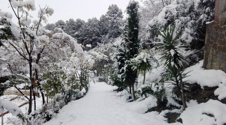 Málaga - El Burgo - 40000m2