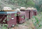 Finca rústica en venda a la A-366, El Burgo, ref.: TR274480 foto