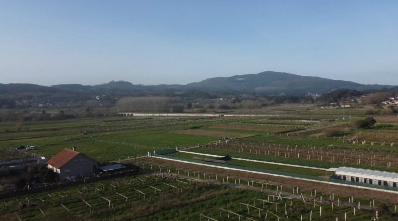 Pontevedra - Lantaño - 800m2
