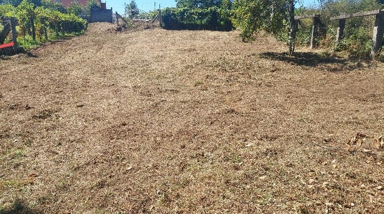 Pontevedra - Lantaño - 600m2