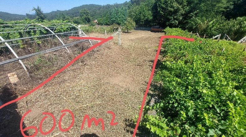 Pontevedra - Lantaño - 600m2