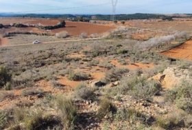 Requena 6773&nbsp;m²