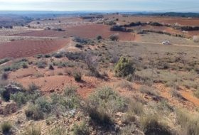 Requena 6773&nbsp;m²