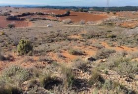 Requena 6773&nbsp;m²