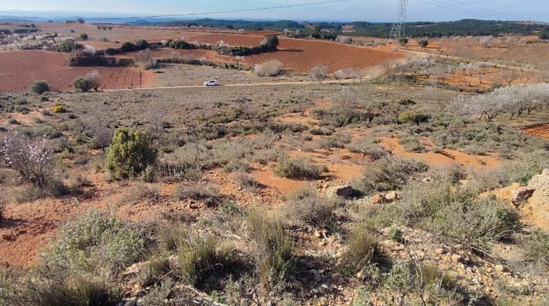 Валенсия - Requena - 6773m2