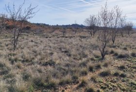 Requena 6773&nbsp;m²