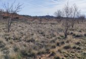 Земля на продажу у города Requena Фото