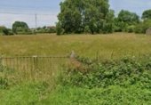 Land for rent on Pola de siero, Les Granxes, ref: TR277842 photo