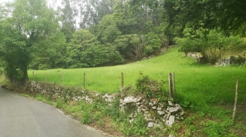 Cantabria - Ла Пенья - 1702m2