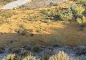 Parcela urbanizable en venta en la Carretera de Vélez de Benaudalla a Motril, Motril, ref: TR257295 foto