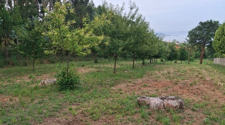 La Coruña - Ares - 7500m2