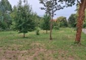 Земля на продажу у города Ares Фото