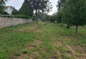 Земля на продажу у города Ares Фото