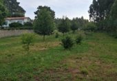 Земля на продажу у города Ares Фото