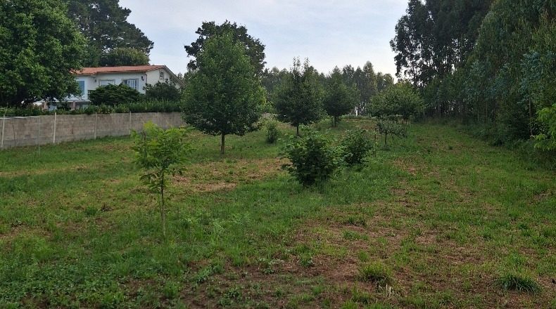 La Coruña - Ares - 7500m2