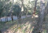 Land suitable for development for sale on Carrer del Passerell, Caldes de Montbui, ref: TR284306 photo