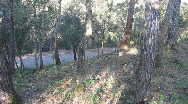 Barcelona - Caldes de Montbui - 790m2